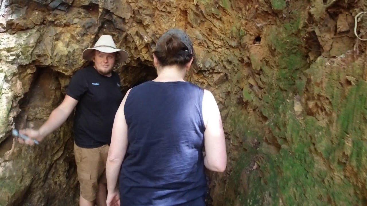 Cells River Explore Weekend with Coffs Coast 4x4 And Bush Adventures