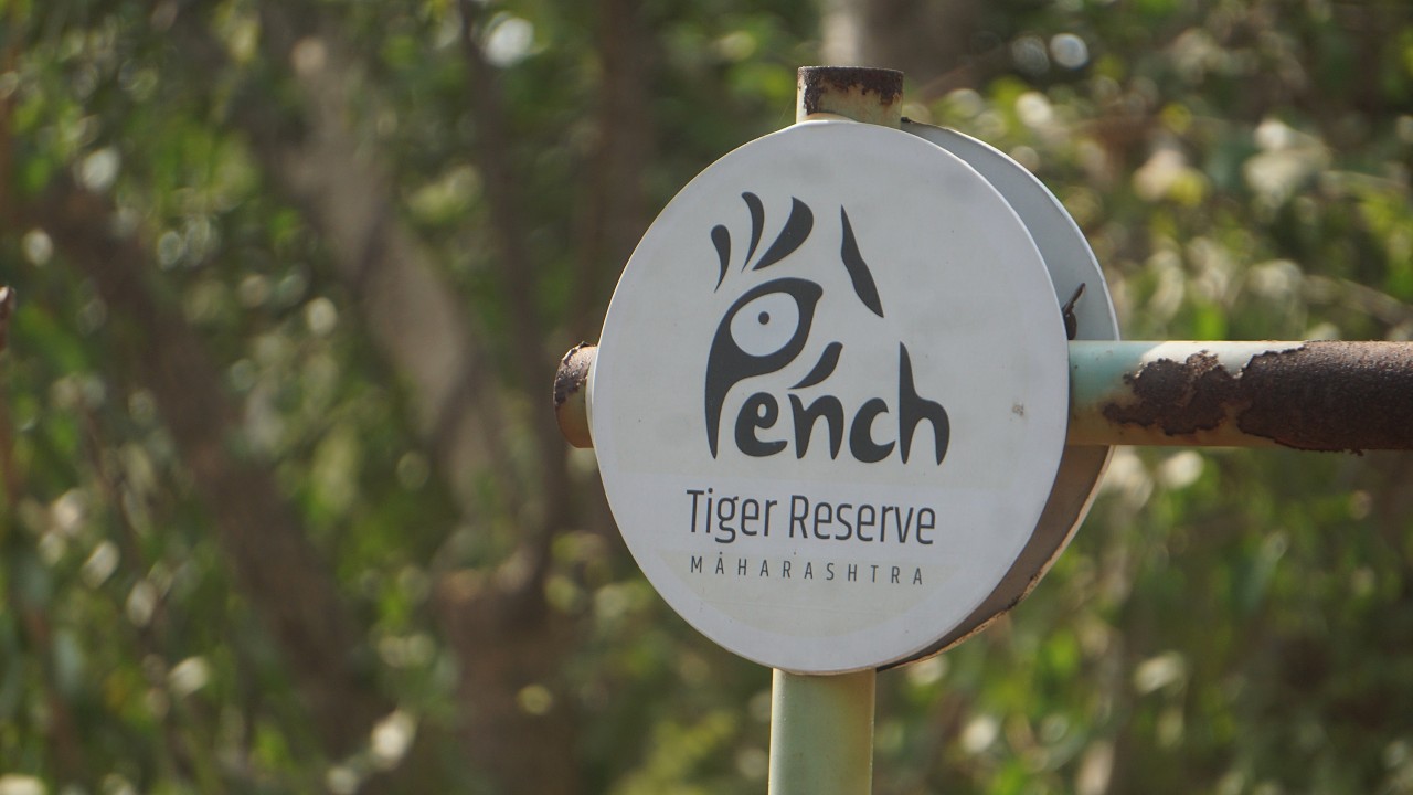 My Visit to Pench Tiger Reserve Chorbahuli Gate