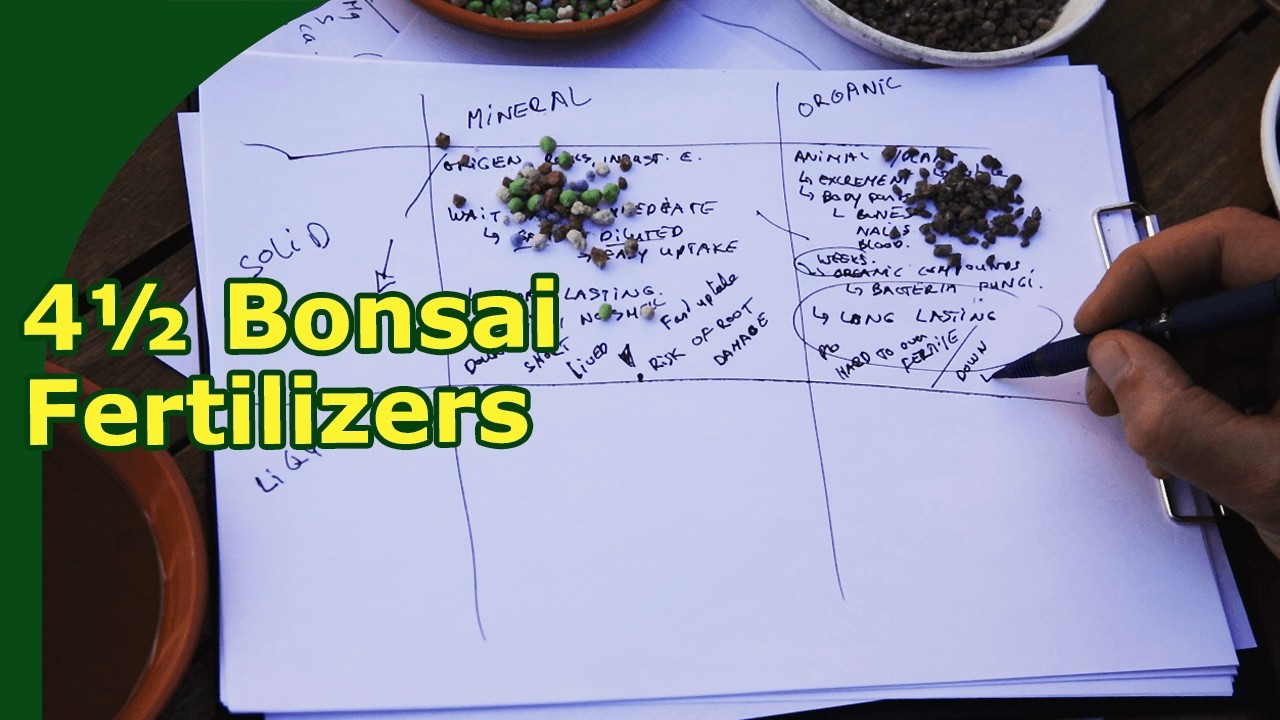 Bonsai fertilizers: Types, Benefits and Drawbacks.