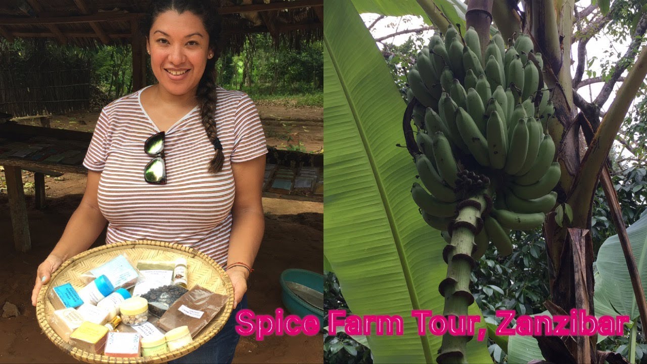 Spice Farm Tour, Zanzibar