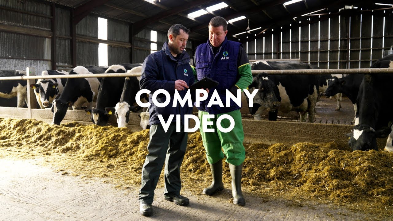 Company Video | AHV International