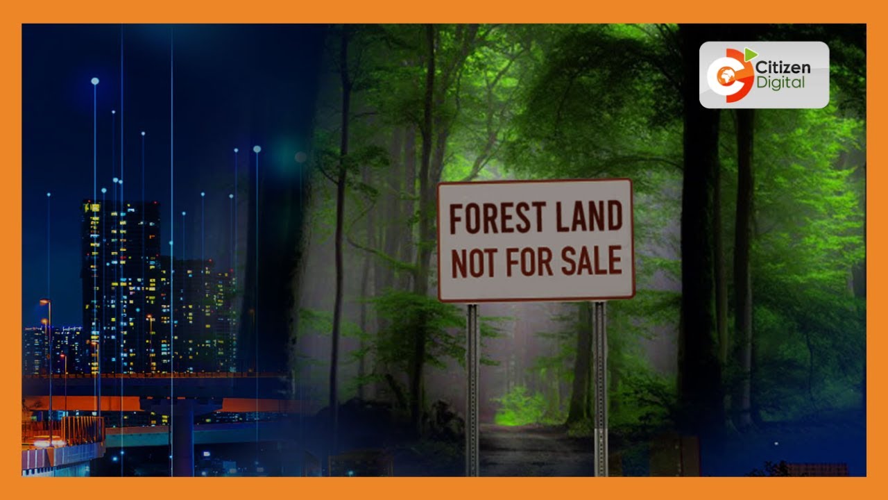 Government repossesses 3 acres of grabbed forest land in Kibiku