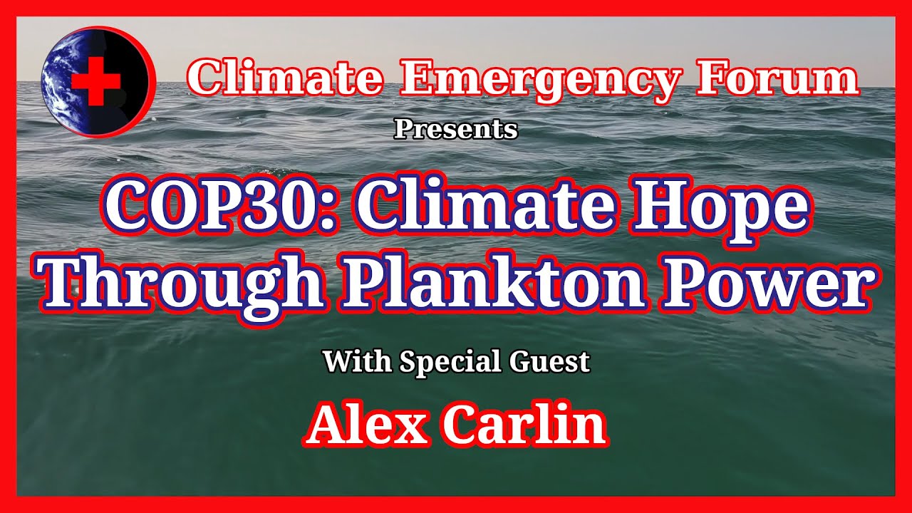 COP30: Climate Hope Through Plankton Power
