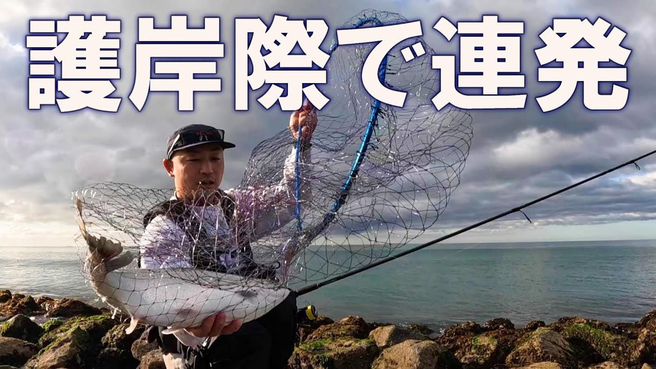 ただ巻きパターンでサクラマス連発