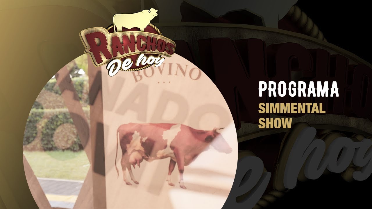 442. Simmental Show Alimentaria México