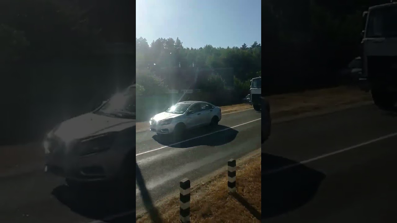 еду на дизель поезде по маршруту Гомель кравцовка