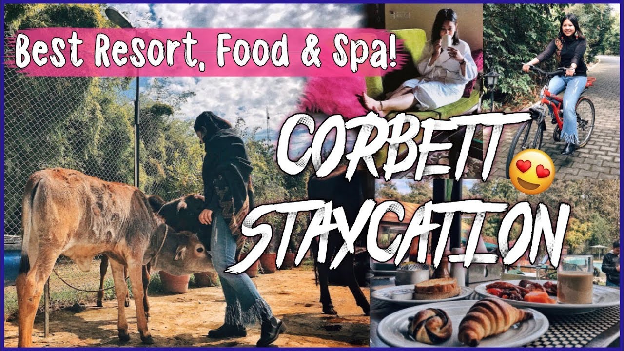 RESORT LIFE in Corbett 🌲 #Staycation #QuirkyVlogs