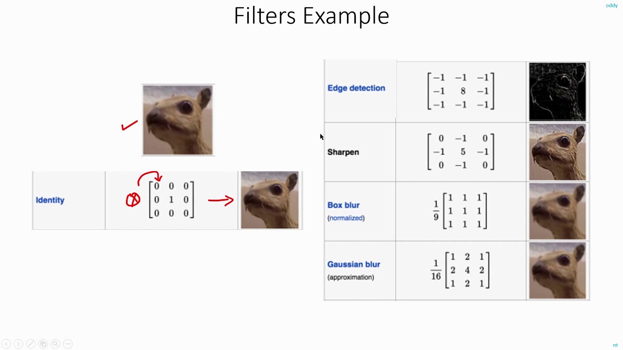 C 4.4 | Intuition behind Filters in CNNs | Object Detection | Machine learning | EvODN