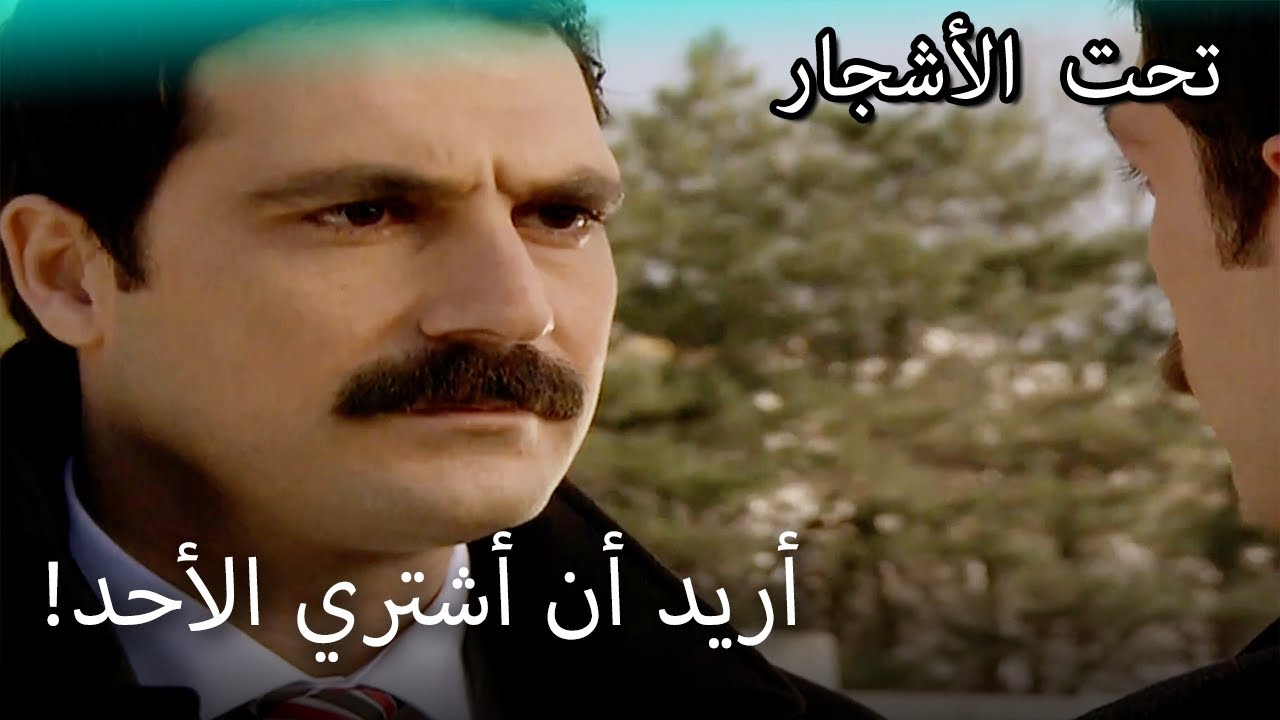 يلماز يريد شراء الأحد! - القسم الخاص تحت الزيزفون