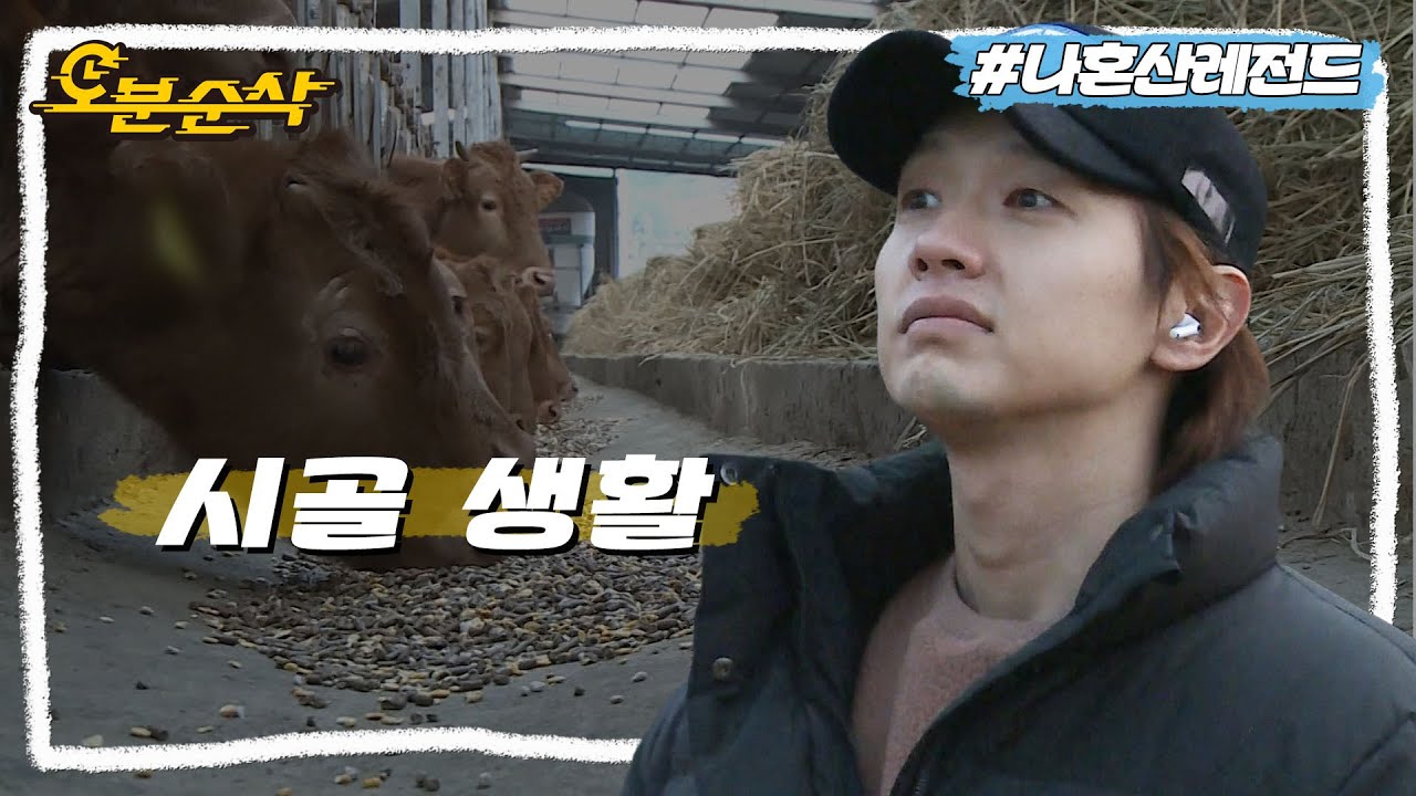 [#나혼자산다] 살뜰한 남의 집 자식😁 폴더폰부터 레트로한 시골집까지 80년대 감성 풍기는 지현우의 시골 생활ㅣ나혼자산다⏱오분순삭 MBC200117방송