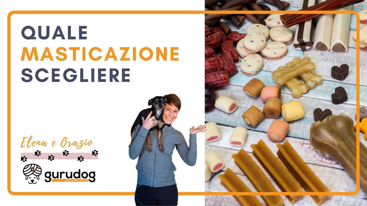 Masticazione per il cane: cosa scelgo per il mio? I consigli di GuruDog educatore cinofilo