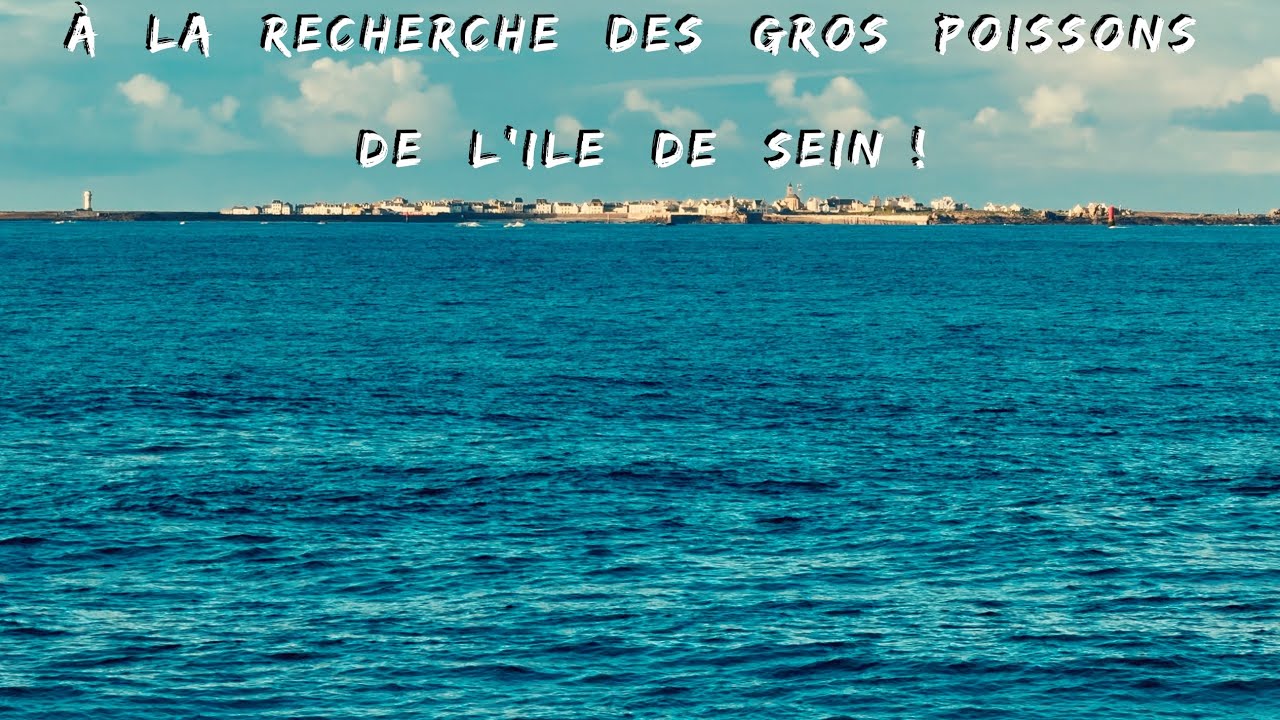 L’île de Sein en « Hiver », les gros bars seront-ils là ??