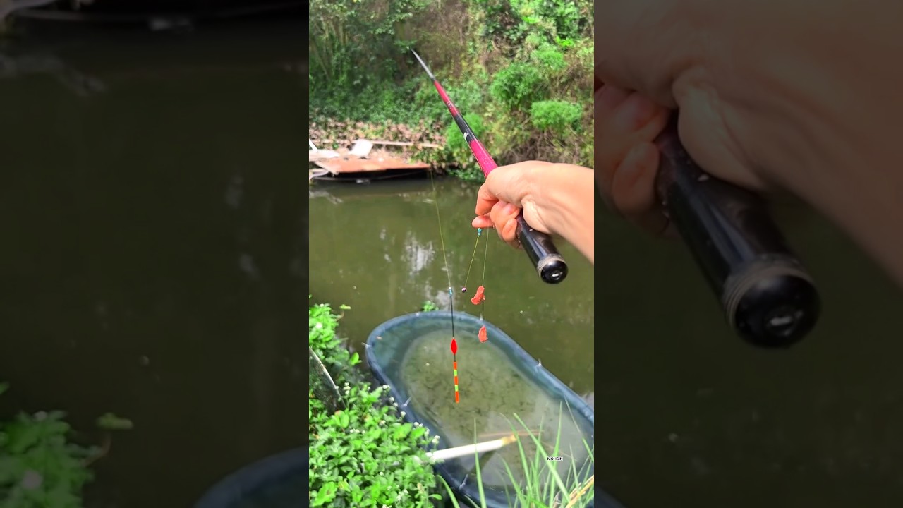 Unique Latest Carp Fishing Best Fish Catching Videos in The World #fishing #shortvideo