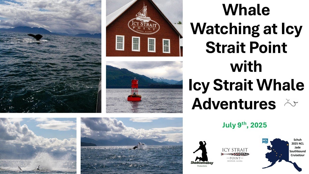 Whale Watching at Icy Strait Point with Icy Strait Whale Adventures
