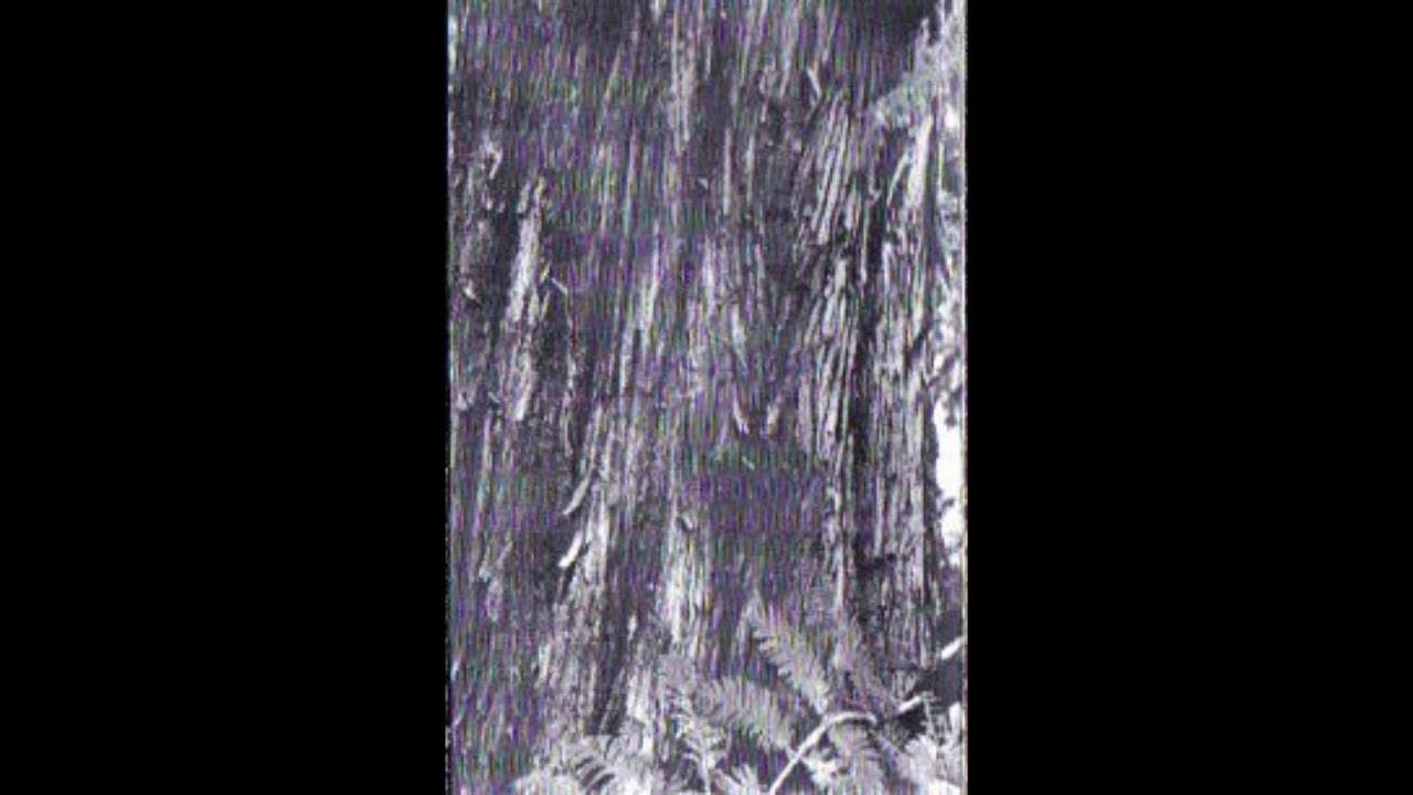 Caen - Athe (full cassette)