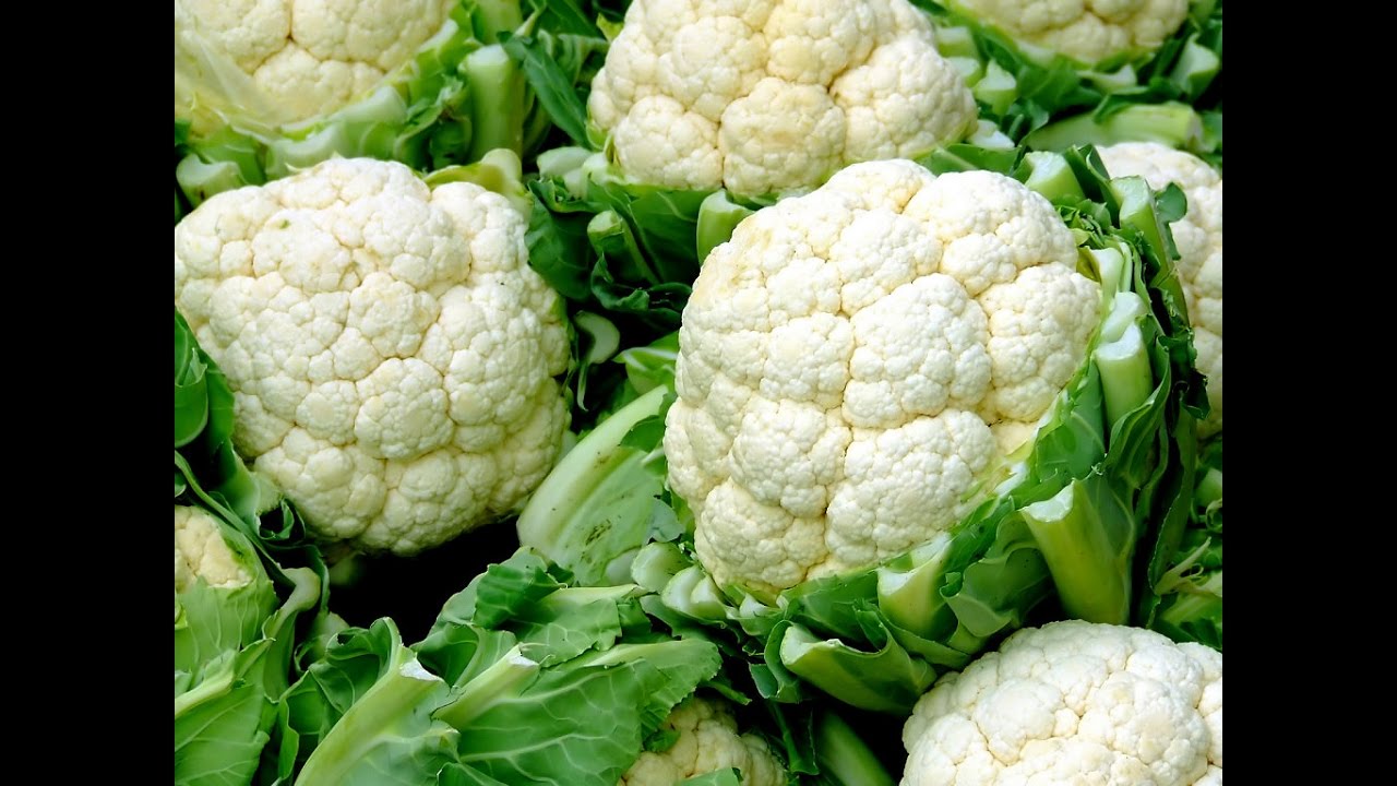 Como Plantar Coliflor En El Huerto || Cultivo Coliflor || La Huertina De Toni
