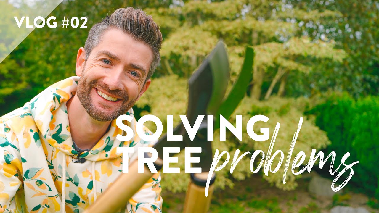 Wedding Cake Tree Problems... I'm Fixing Them! | Garden with Me Ep.2