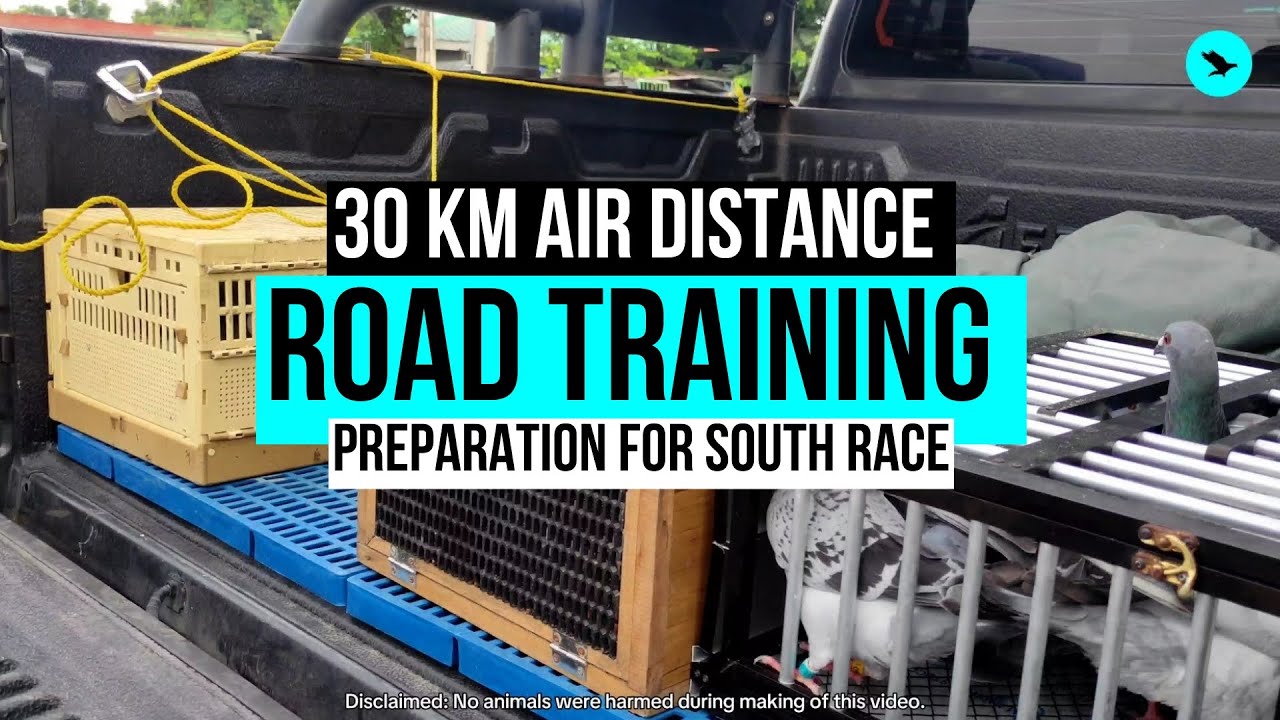 30 Kilometers Air Distance Road Training For Speed