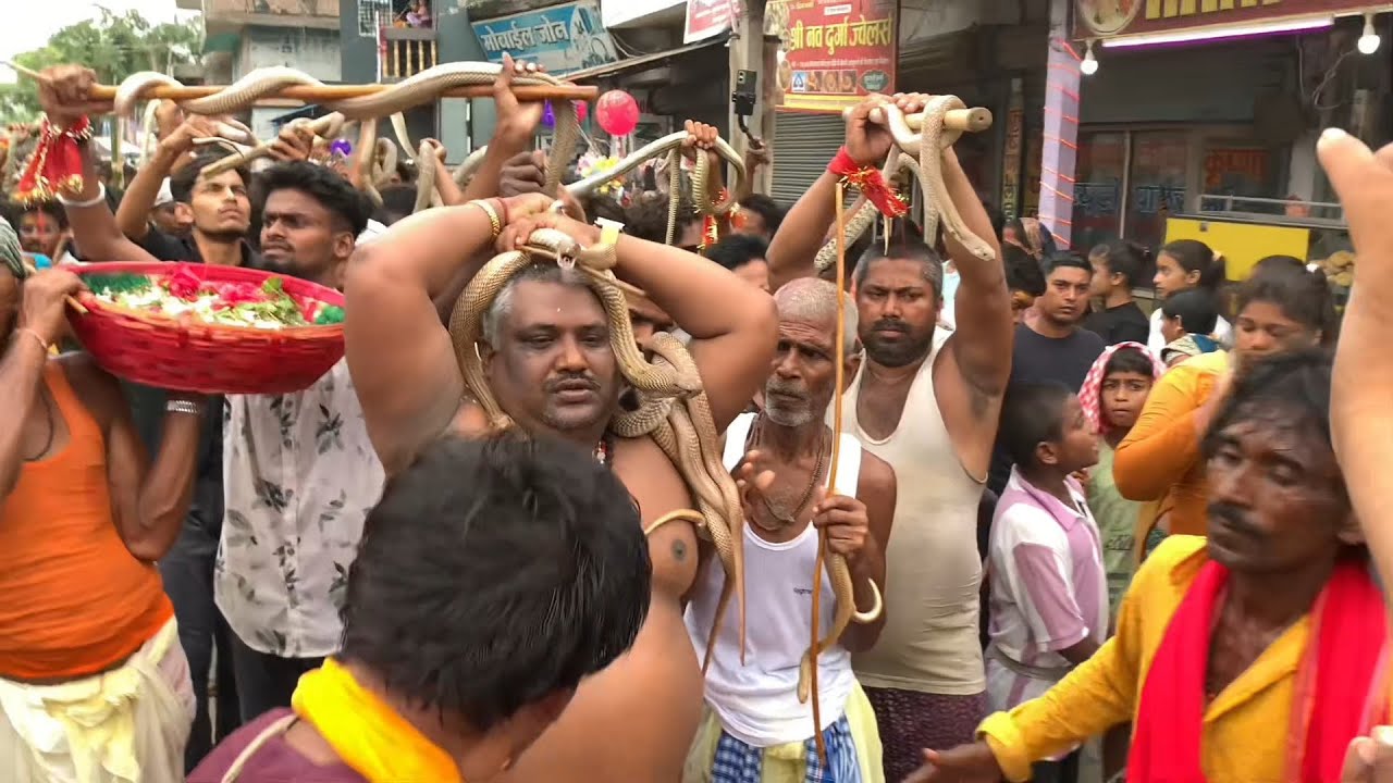 Live Mela Darshan | Naag Devta Pooja & Bhakti Vibes | Singhia Ghat Bihar 2025🐍🚩