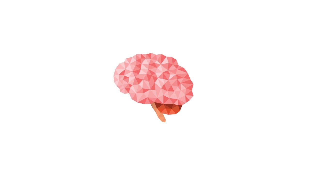 The Intelligence Quotient