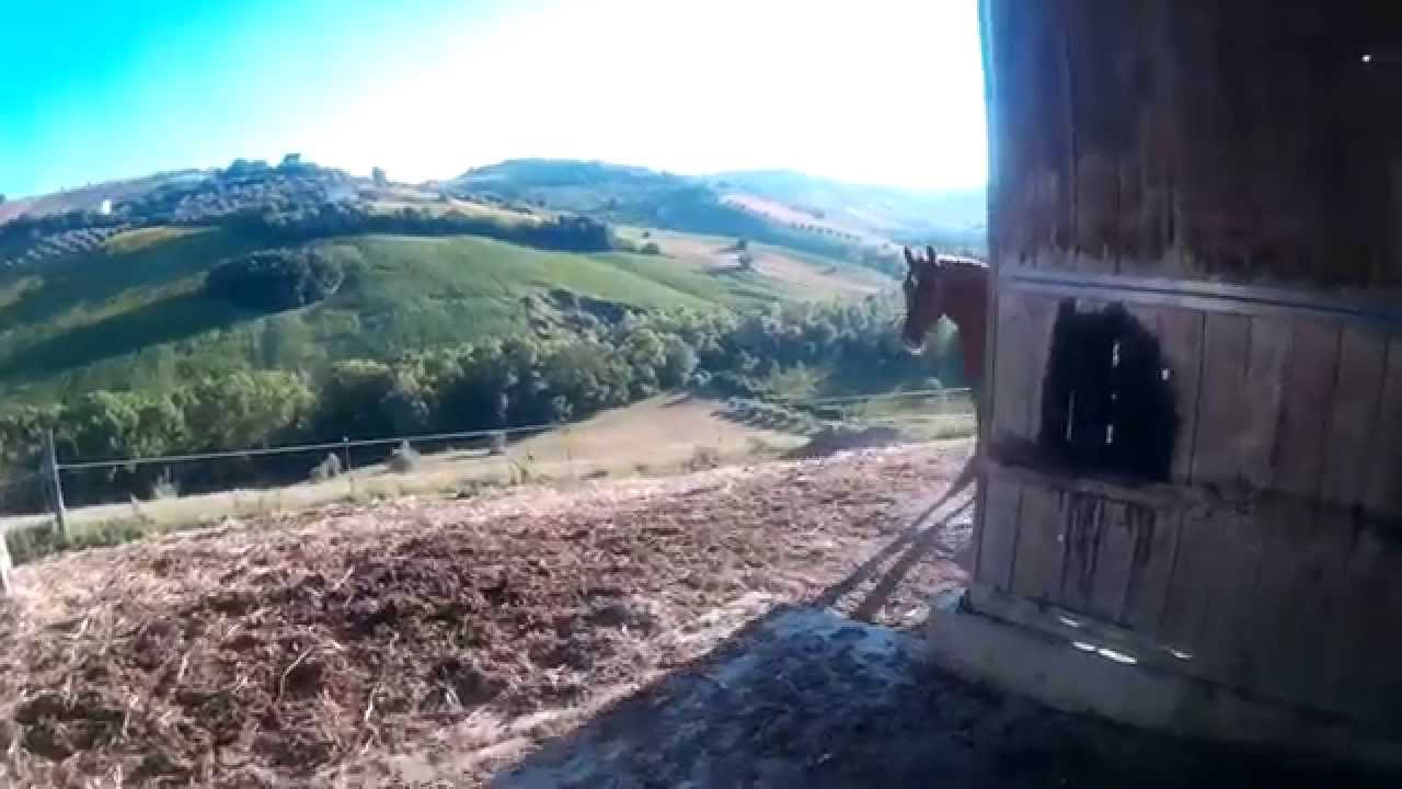 Cavalcando l'Abruzzo. Passeggiate a cavallo, trekking e scuola di equitazione