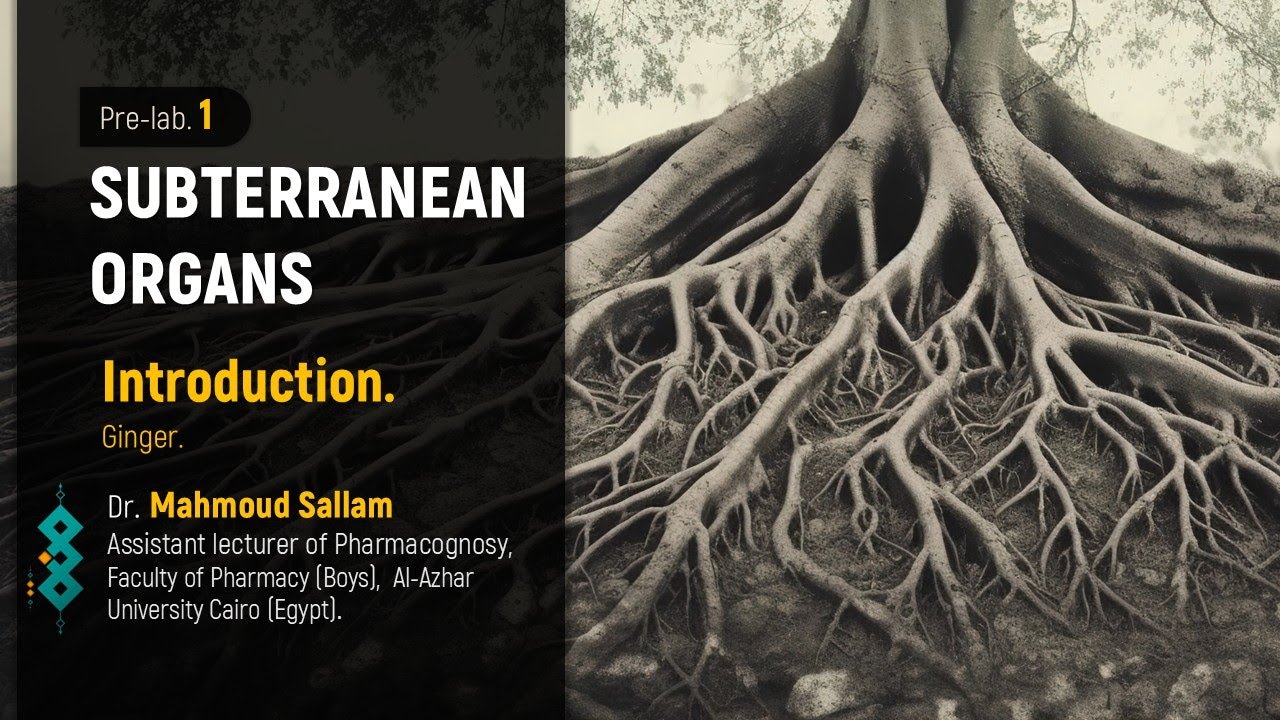 Pharmacognosy 2 (Subterranean): Introduction, Ginger