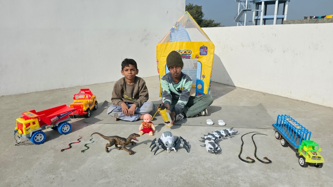 मकड़ी ने क्या चिंटू को कैद 🕷🕸