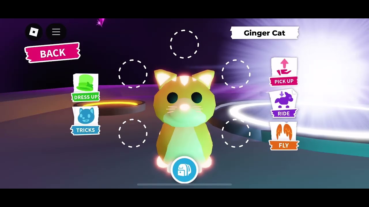 Neon ginger cat 