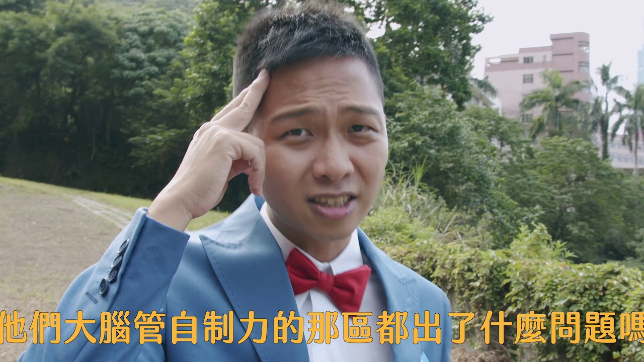 成癮腦科學--腦中的嵌癮