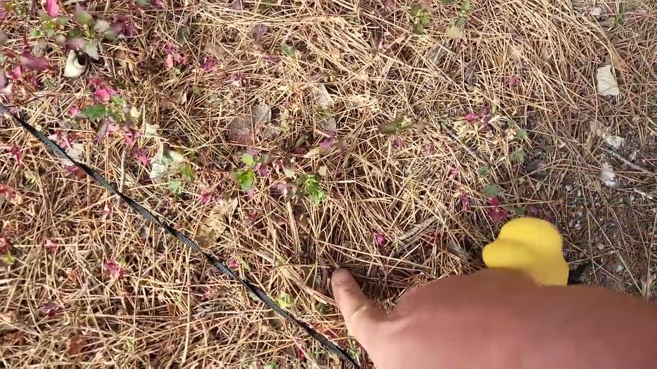 Sustrato de pino para mejorar ph de la tierra Alcalina