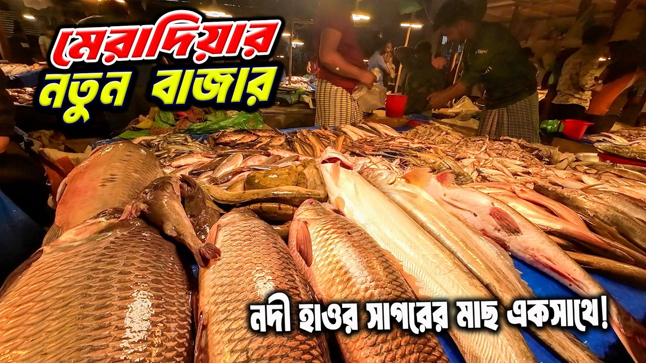 নদী, পুকুর, হাওর আর সাগরের মাছে সয়লাব মেরাদিয়ার নতুন স্থায়ী বাজার | Fish Market Dhaka 2026