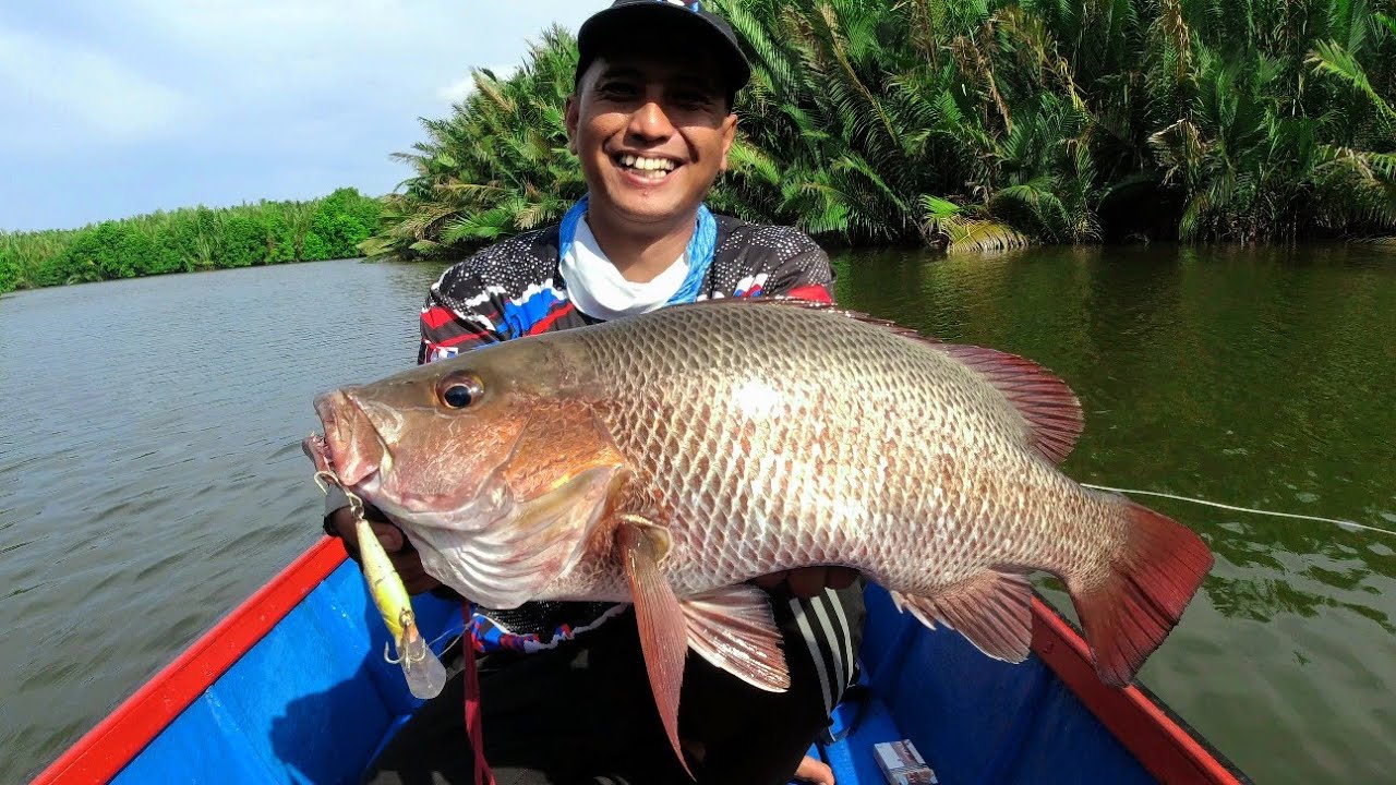 Satu Titik Spot, Dua Jenis Ikan Besar Berhasil Naik 🎣 Mancing Ikan Kakap di Muara Sungai Mahakam