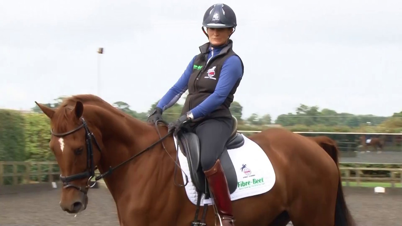 Training the Young Horse for Eventing - Balance and Rhythm