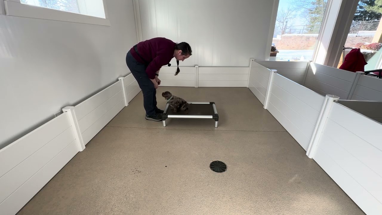 Frankie Training Session 02/24