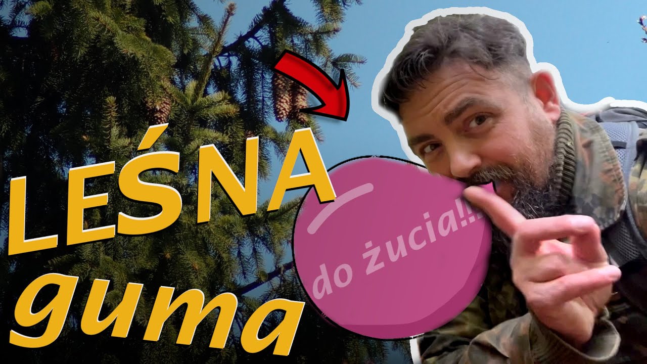 Zamiast pasty do zębów – leśna guma do żucia - must-have w survivalu