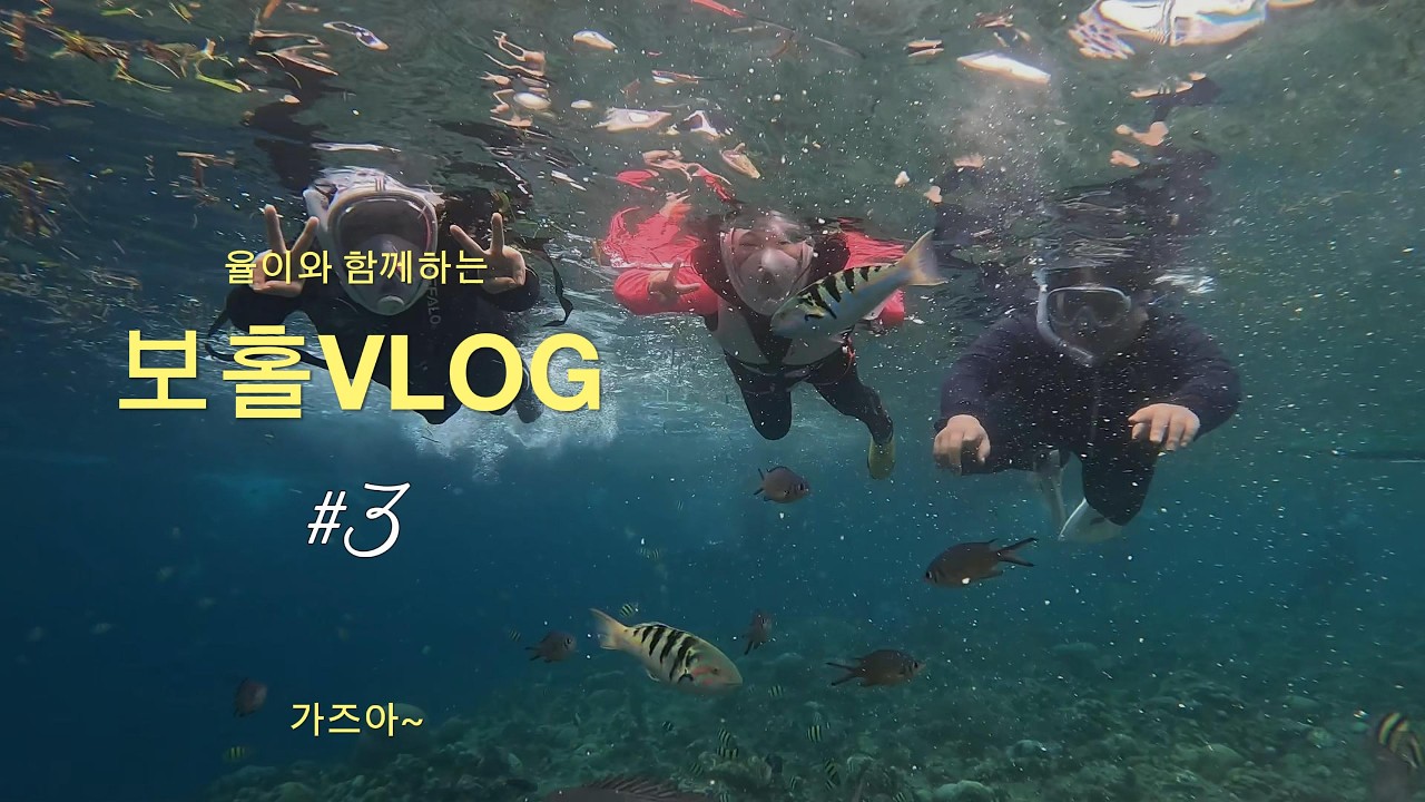 2025년 - 보홀3일차