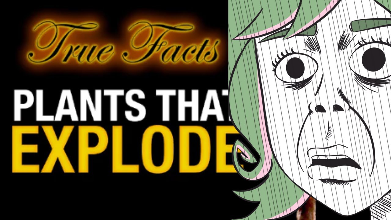 Plants That Explode?! | FIRST TIME reacting to Ze Frank