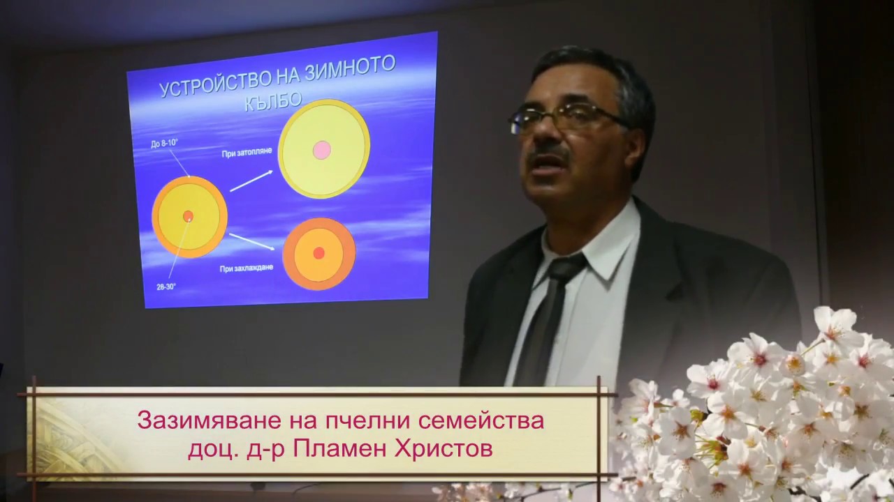 Зазимяване на пчелните семейства - доц. д-р Пламен Христов