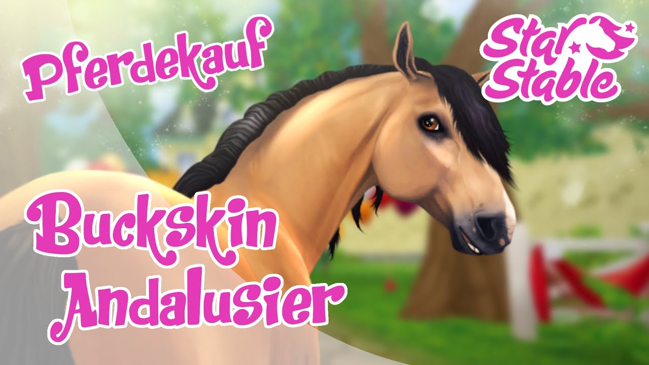 Star Stable [SSO] Pferdekauf - der wunderschöne Buckskin Andalusier