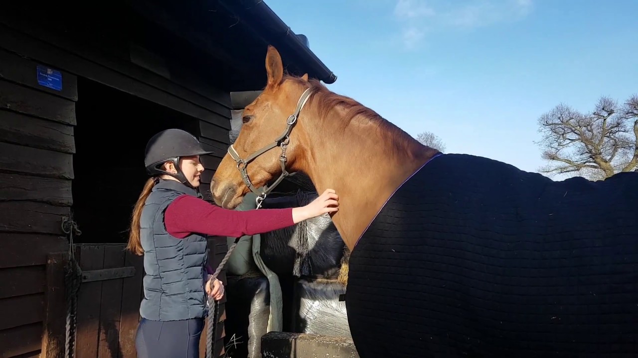 Equilibrium Magnetic Chaps  - A review by Daisy Coakley