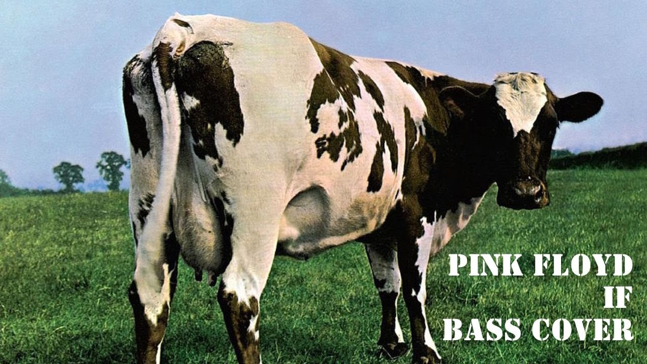 If - Pink Floyd - Bass cover with tabs