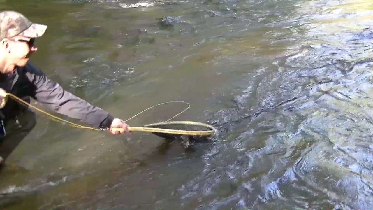 Rozpoczęcie sezonu na lipienia rzeka Kamienica i Słupia | Fly Fishing