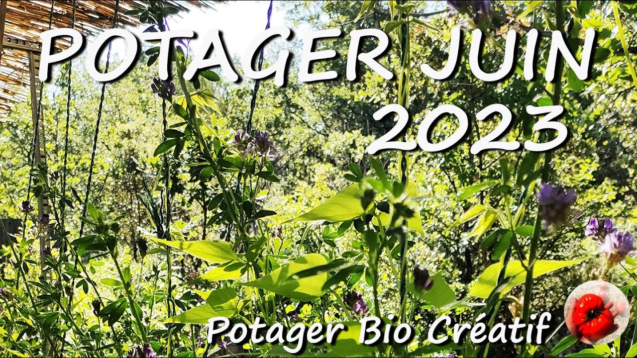 Le POTAGER de JUIN 2023 PBC 70