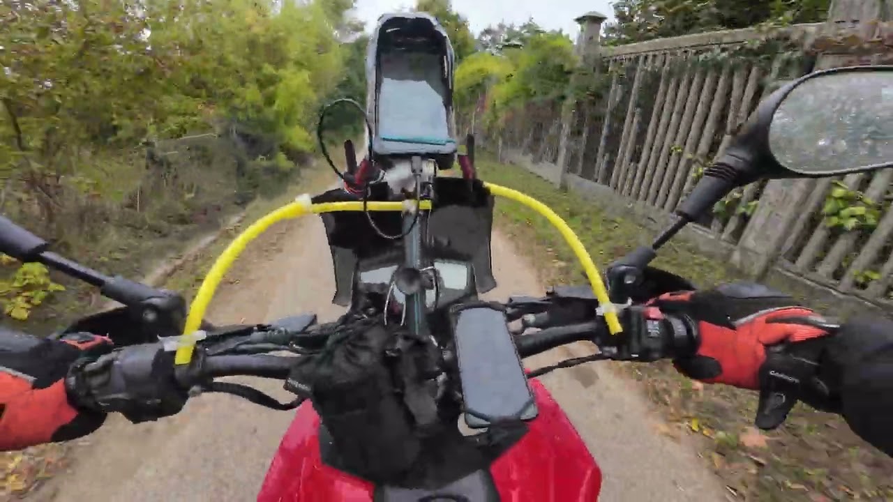 DJI 20251005114723 0212 D