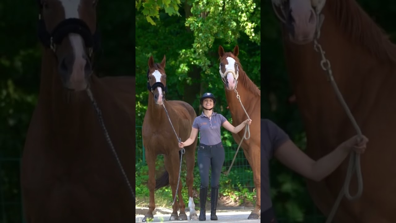 Horseshooting is a difficult challenge 😂 