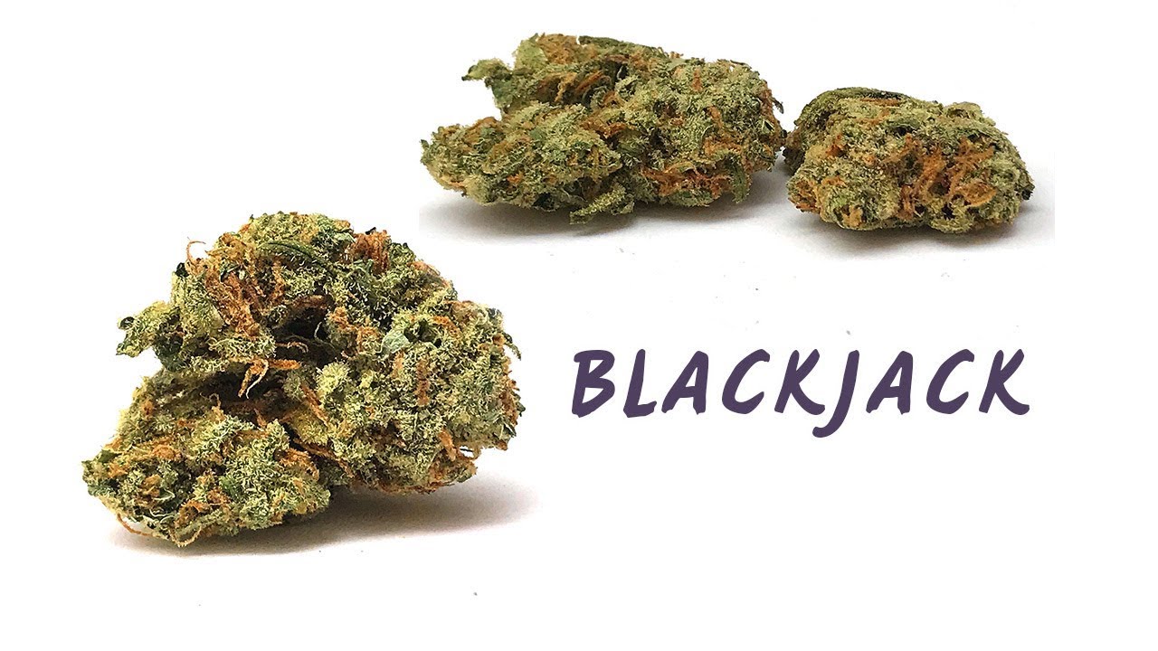 Blackjack