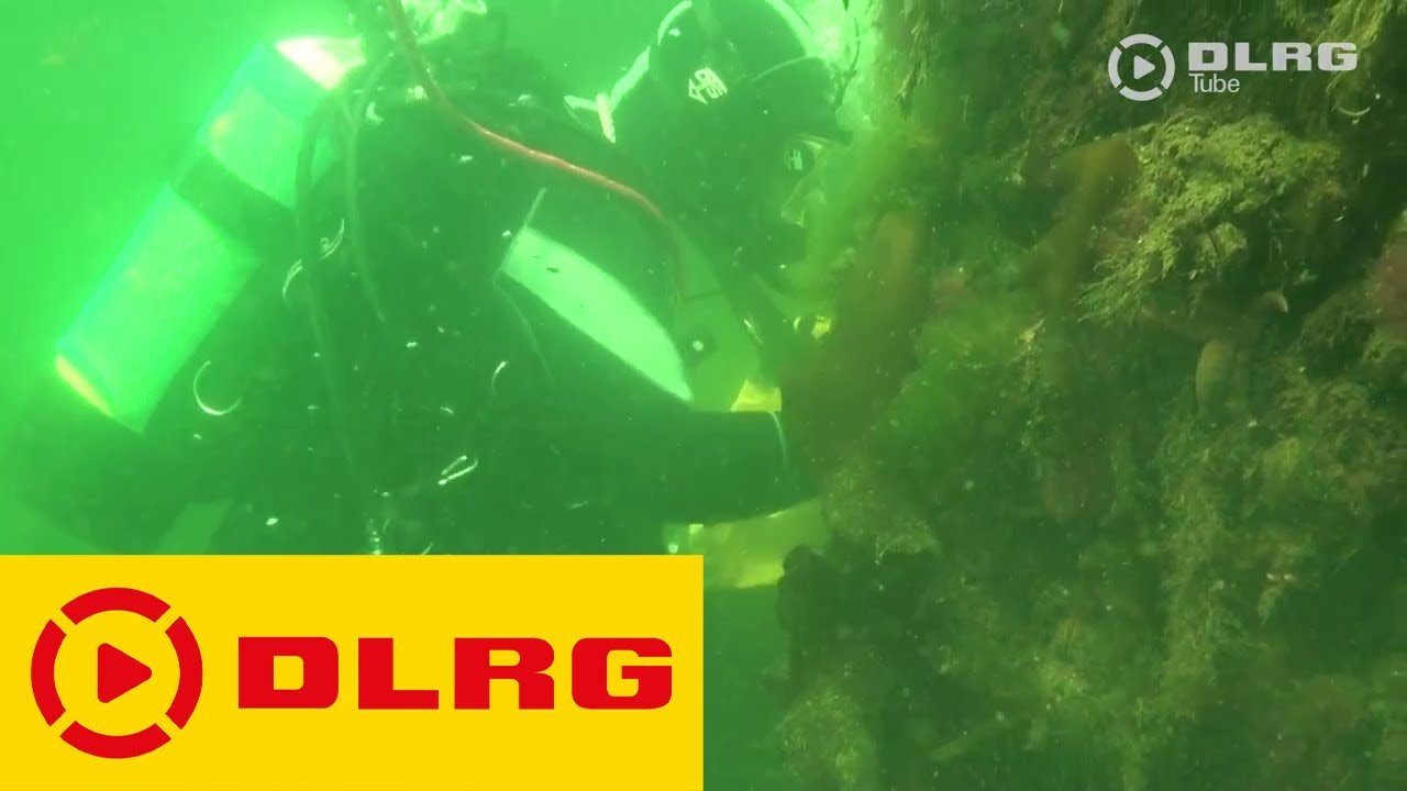 Einsatztauchen in der DLRG