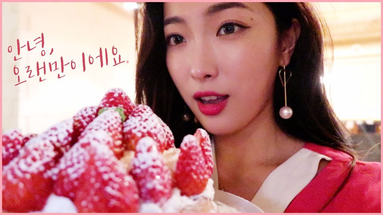 은밀한새벽 vlog : 패션위크준비, 애쉬퍼플염색, 깜짝선물