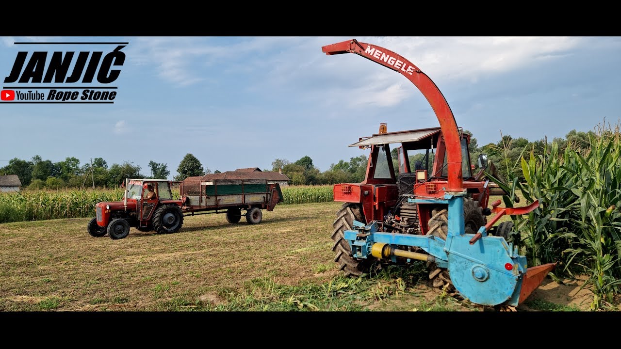 ◀️🌽2025 SILAZA SILIRANJE KUKURUZA 🌽IMT / MENGELE / MASSEY FERGUSON / LOZNICA / WELGER / STRAUTMANN▶️