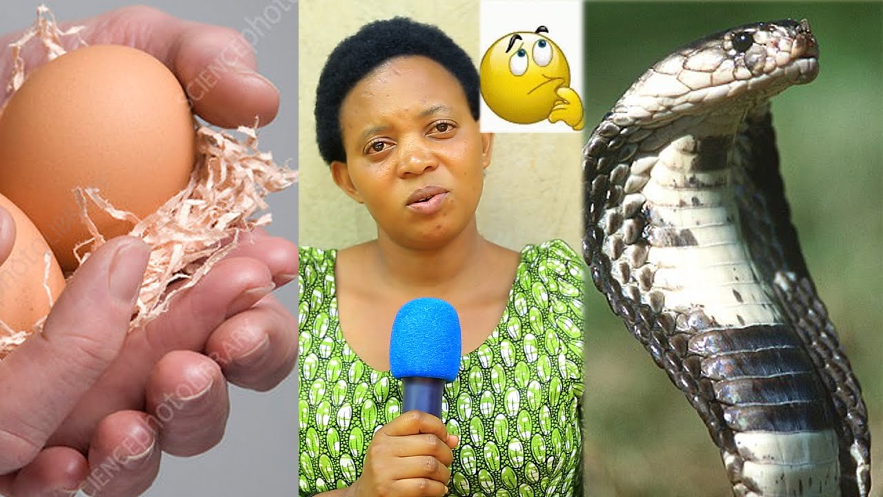 nakoze uburaya mubuhinde  abapfumu baduhaga imiti ikurura abagabo  /inzoka niyo yakiraga abantu🙆🏼&zwj;♀️